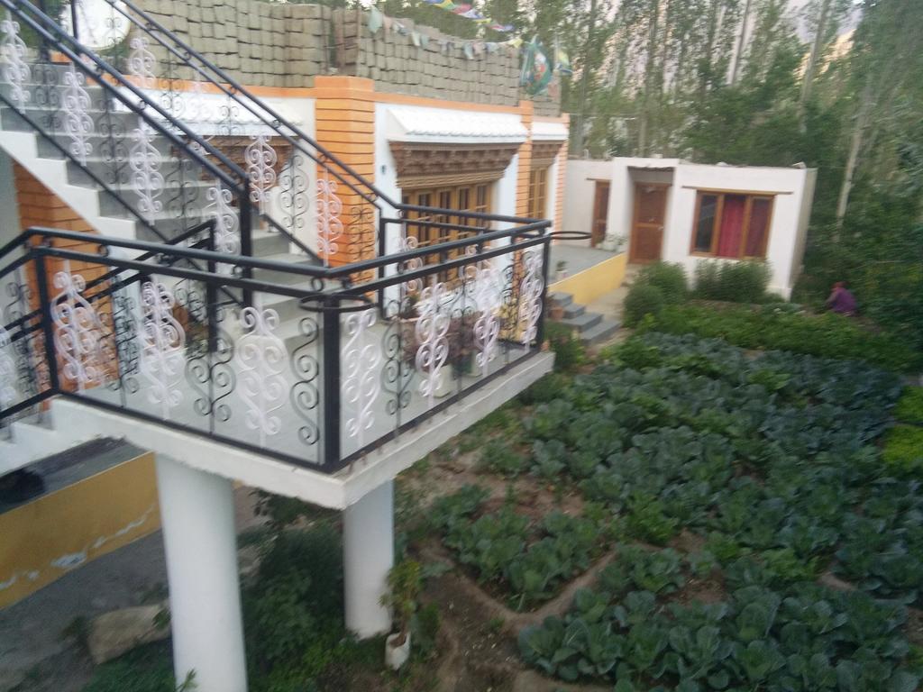 Galaxy Guest House Hundar Buitenkant foto