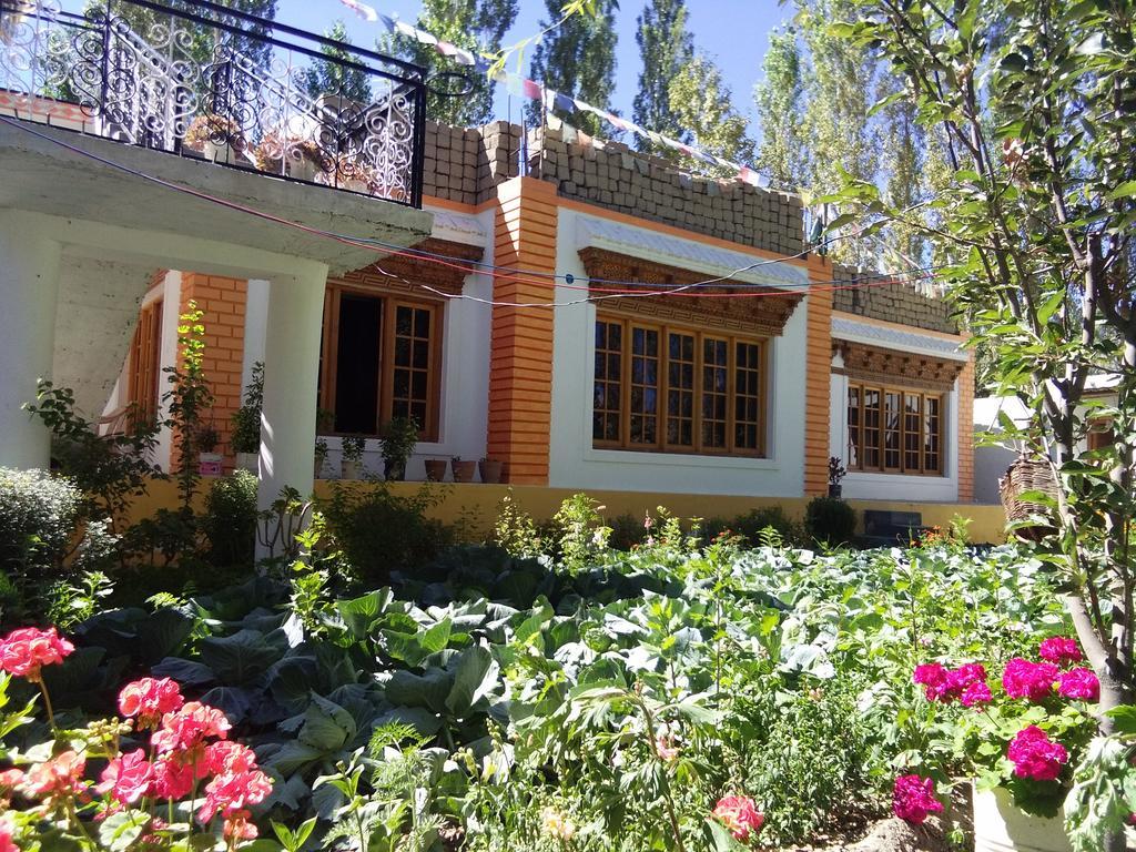 Galaxy Guest House Hundar Buitenkant foto