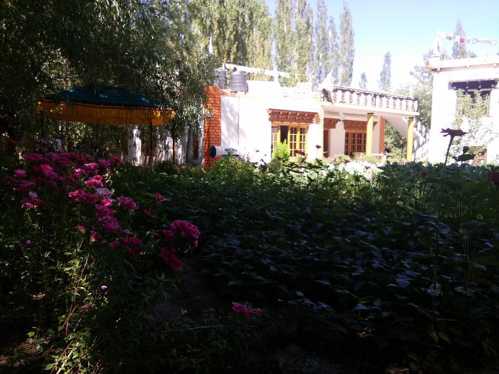 Galaxy Guest House Hundar Buitenkant foto